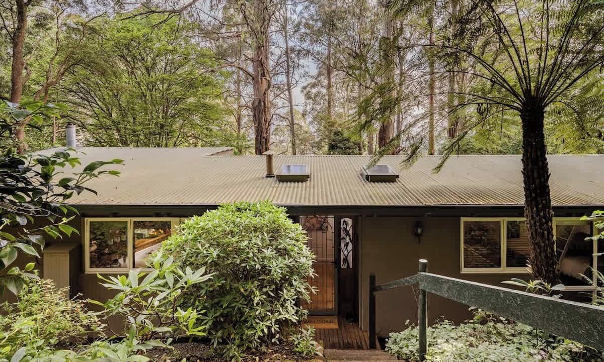 Photo of Outdoor in Sassafras