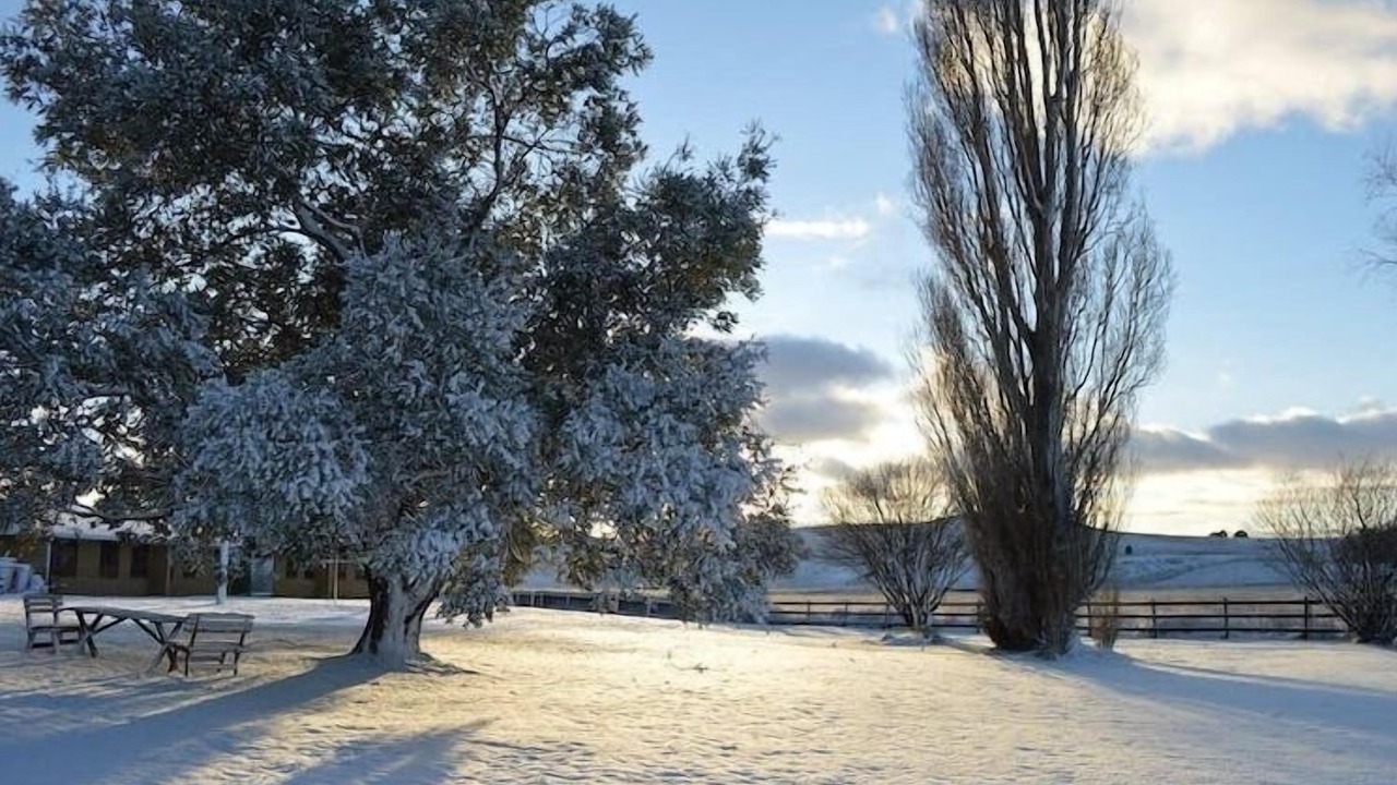 Photo of Outdoor in Adaminaby
