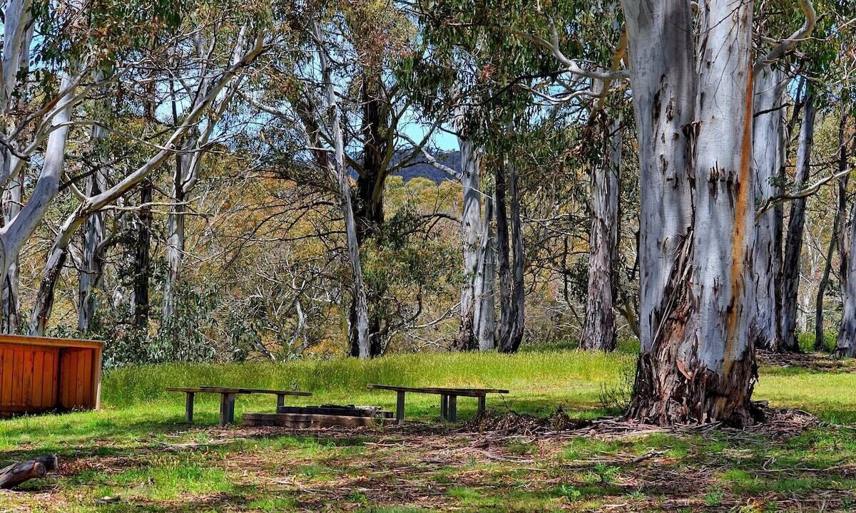 Photo of Outdoor in Adaminaby