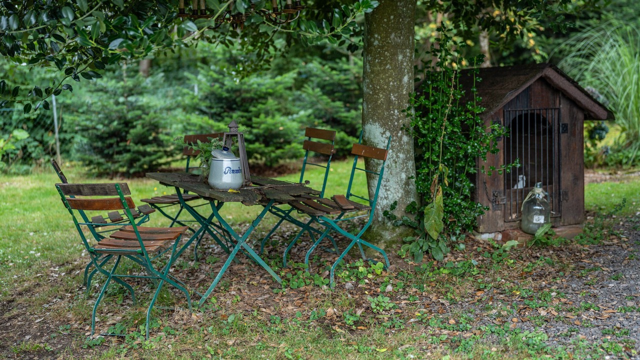 Photo of Outdoor in Muehlenbach