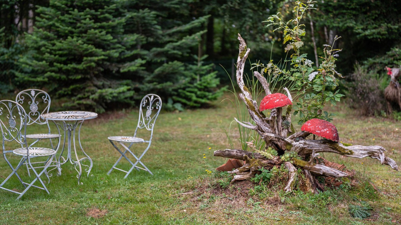 Photo of Outdoor in Muehlenbach