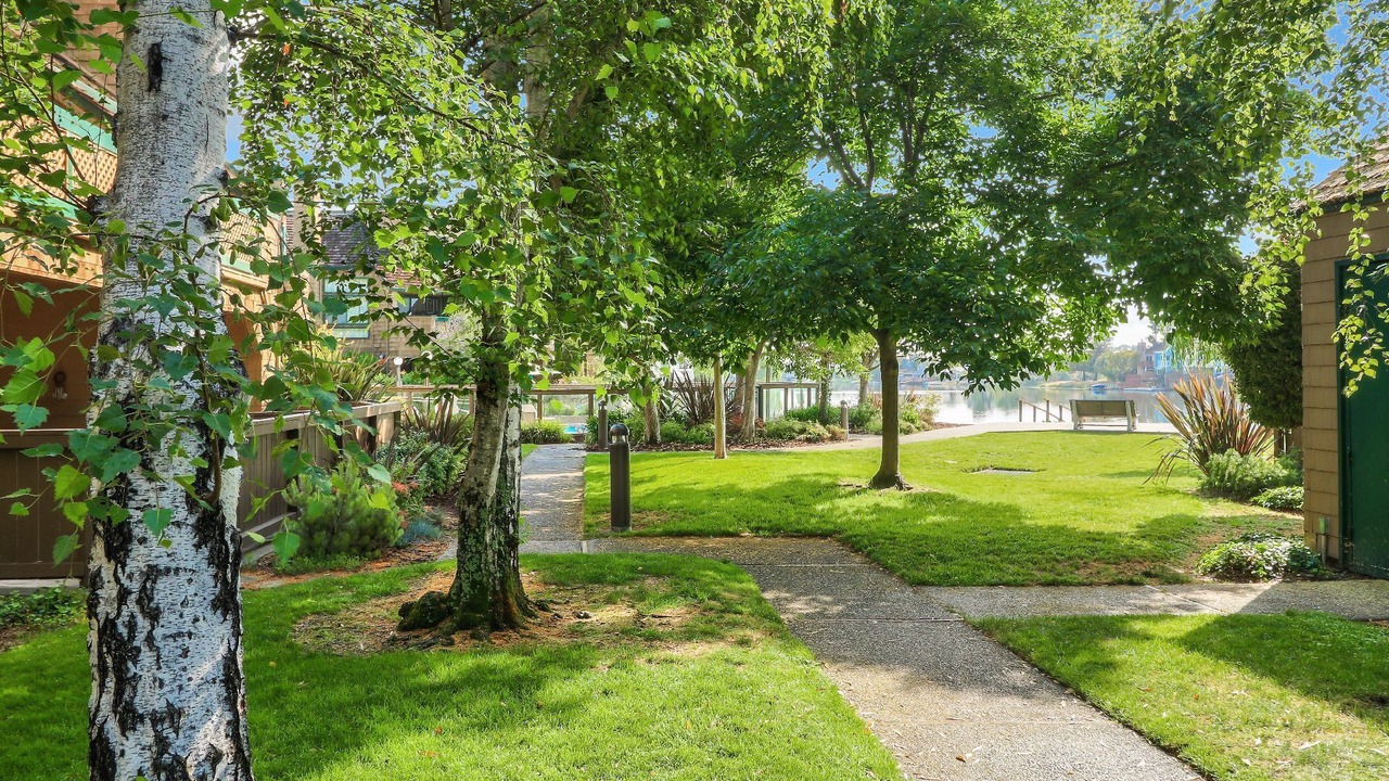 Photo of Outdoor in Redwood Shores