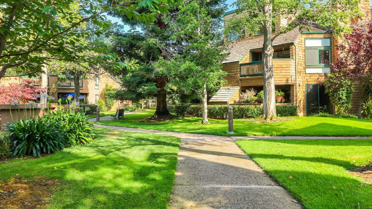 Photo of Outdoor in Redwood Shores