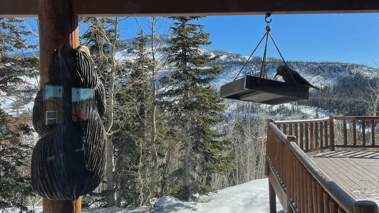 Photo of Outdoor in Brian Head
