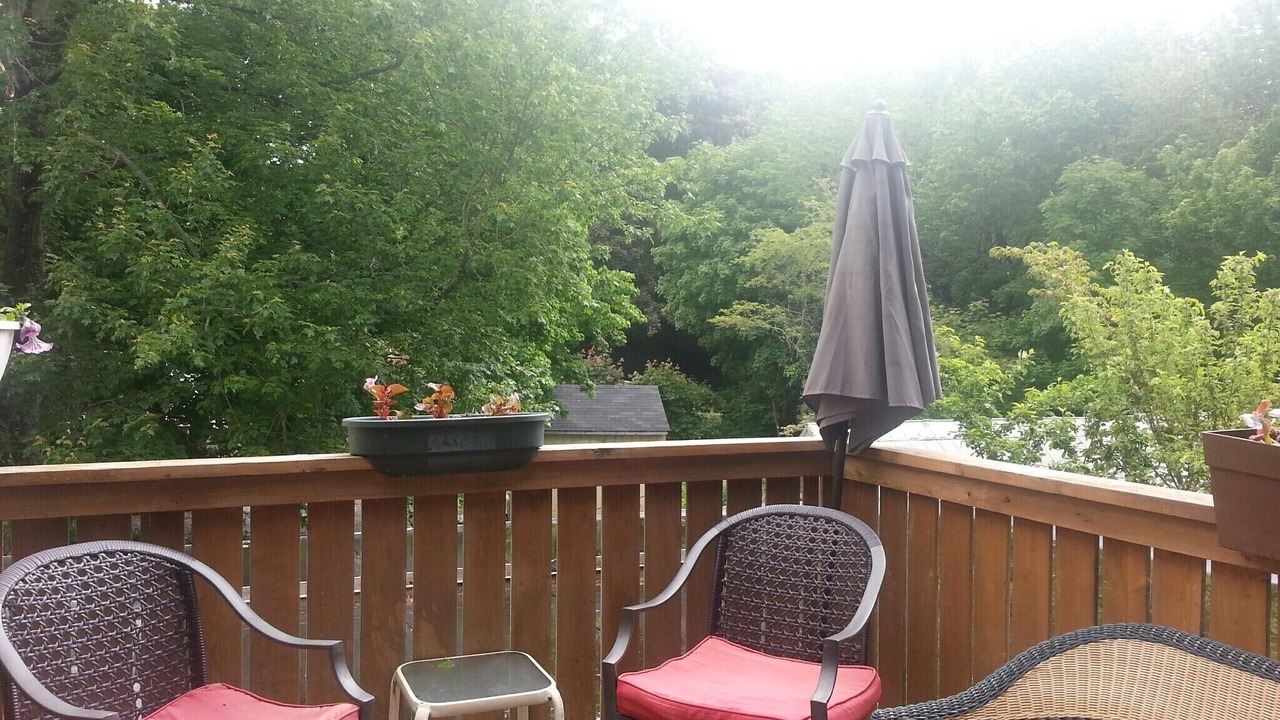 Photo of Outdoor in Dartmouth