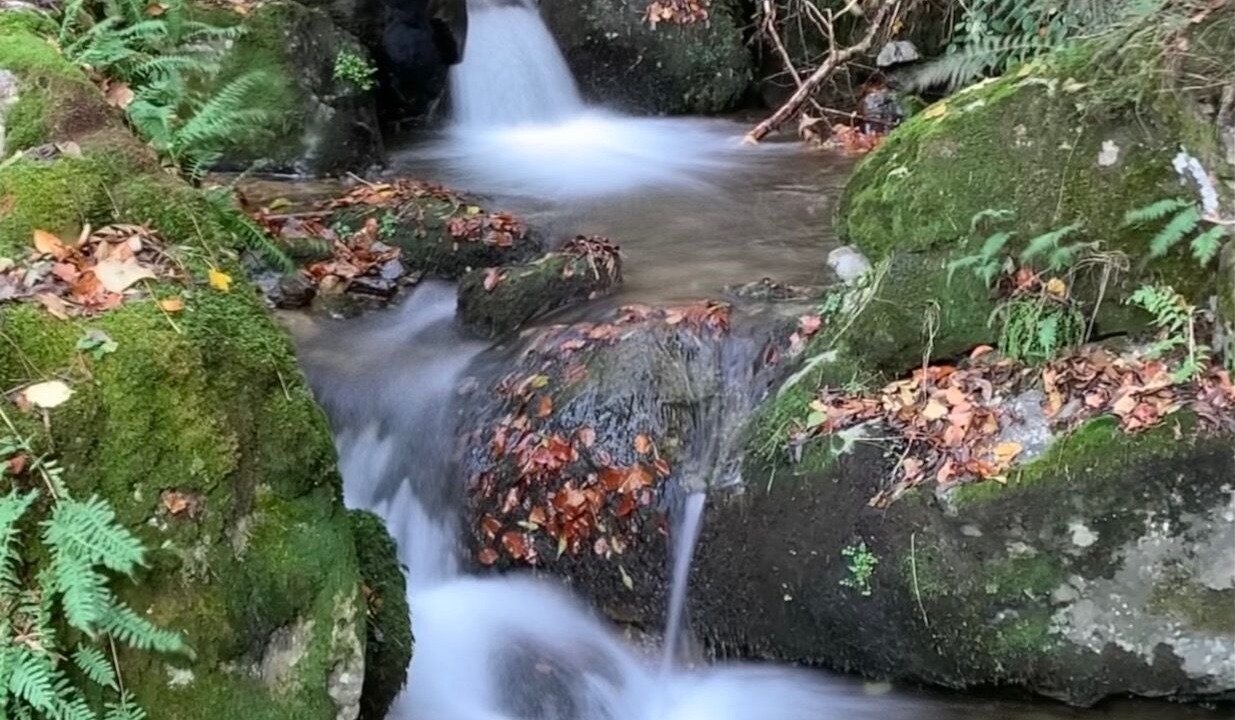 Photo of Outdoor in Rochepaule