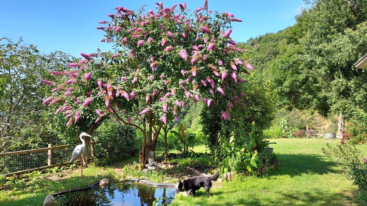 Photo of Outdoor in Rochepaule