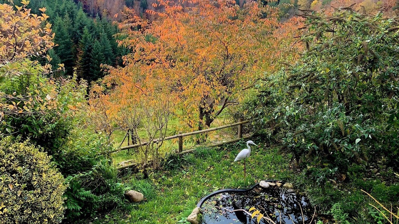 Photo of Outdoor in Rochepaule