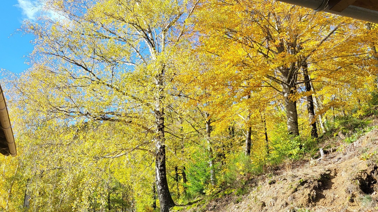 Photo of Outdoor in Rochepaule