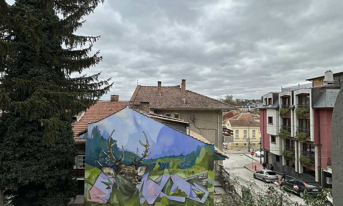 Photo of Others in Veliko Tarnovo
