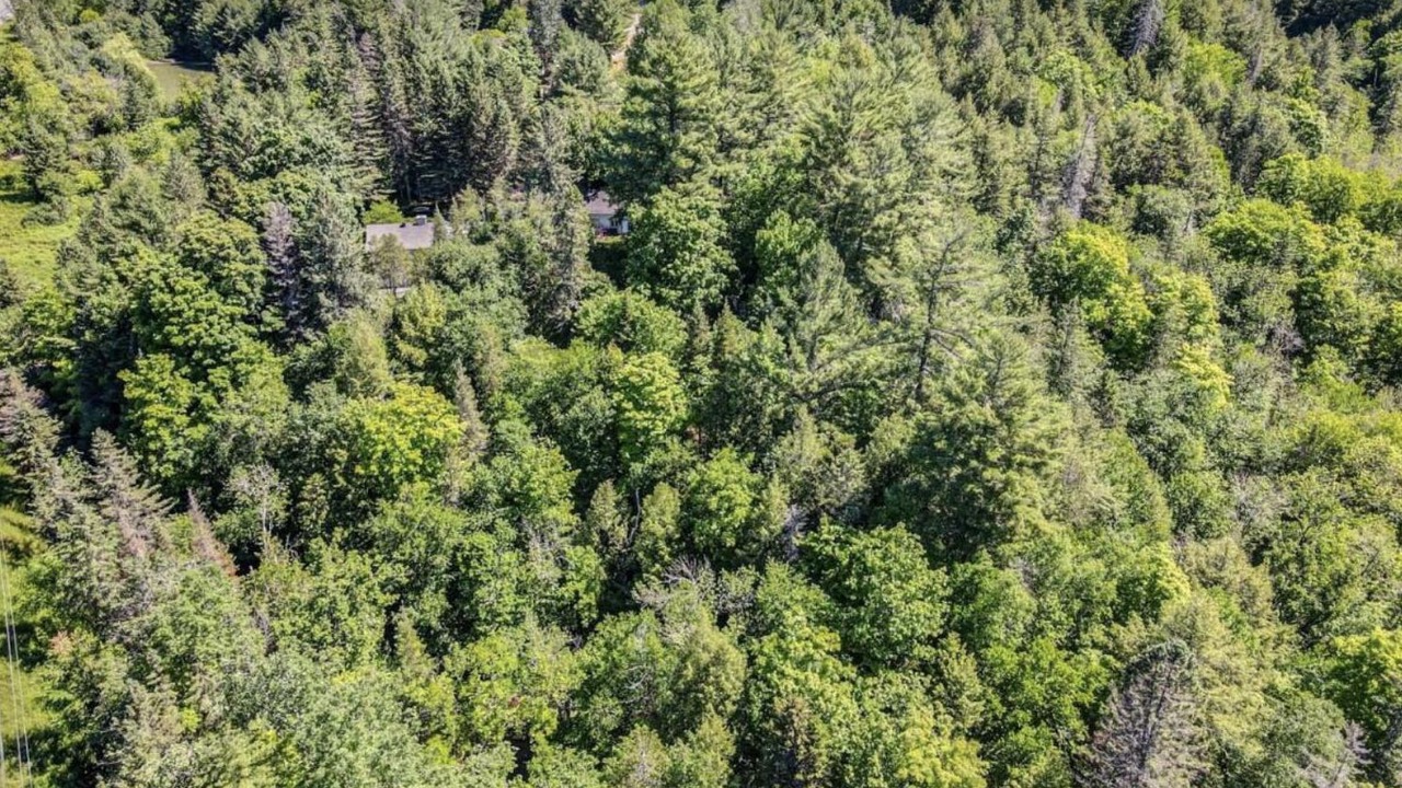 Photo of Outdoor in Sainte-Adele
