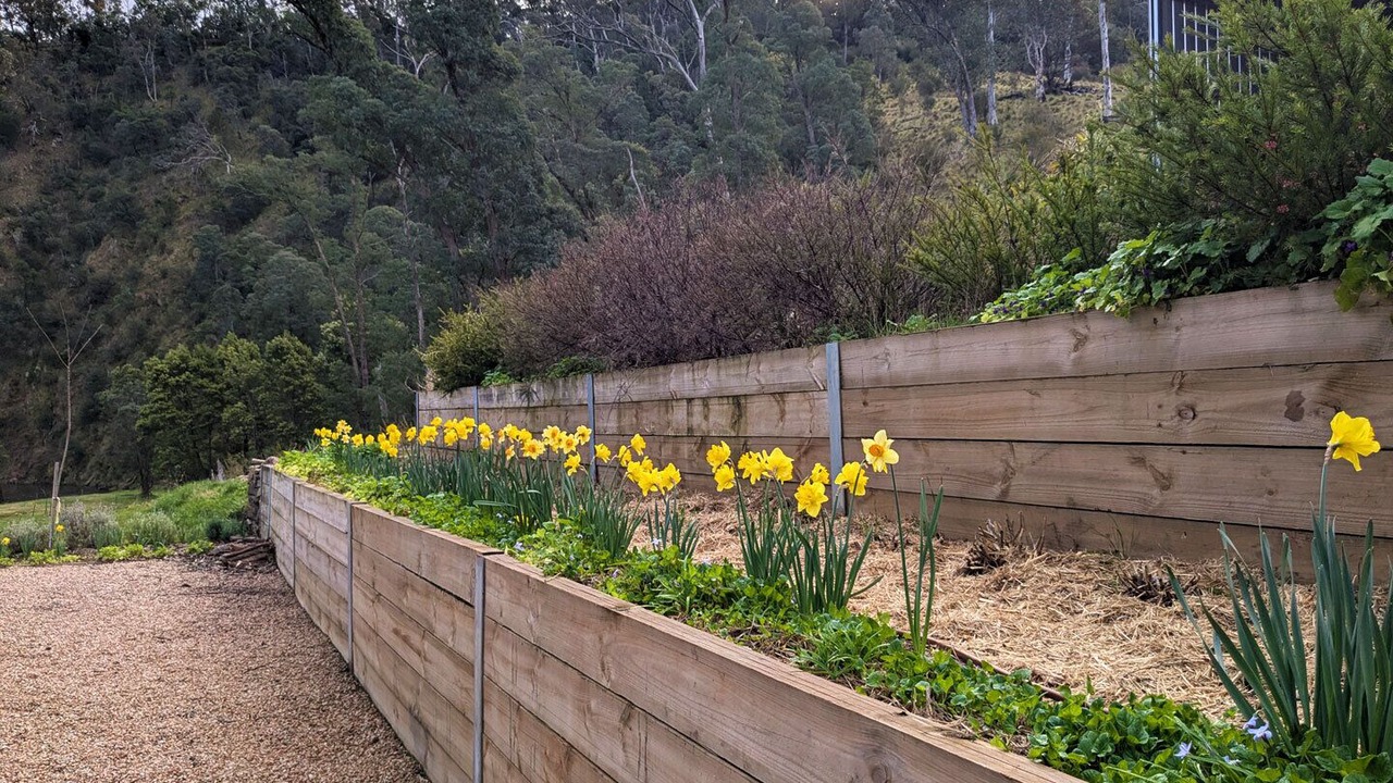 Photo of Outdoor in Dargo