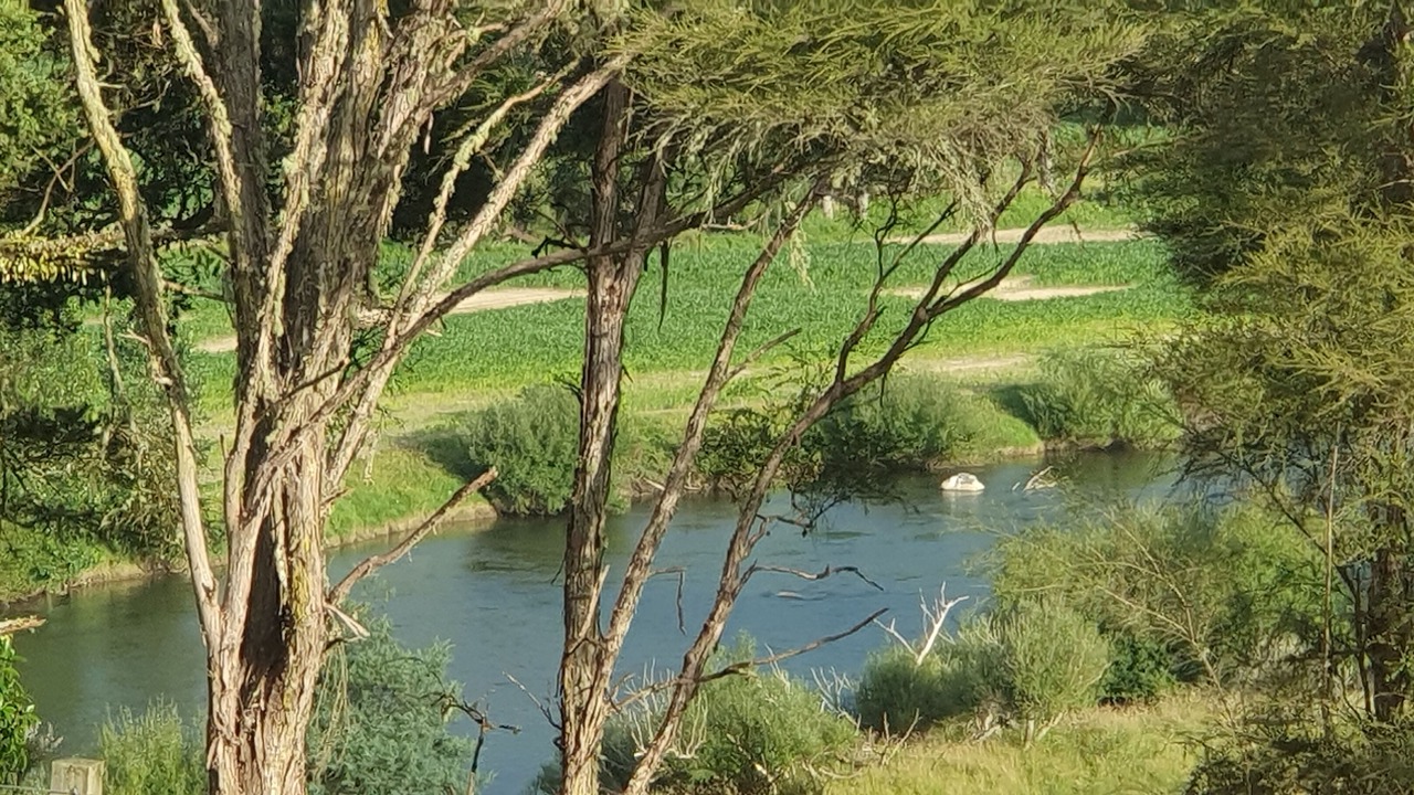 Photo of Others in Taumarunui