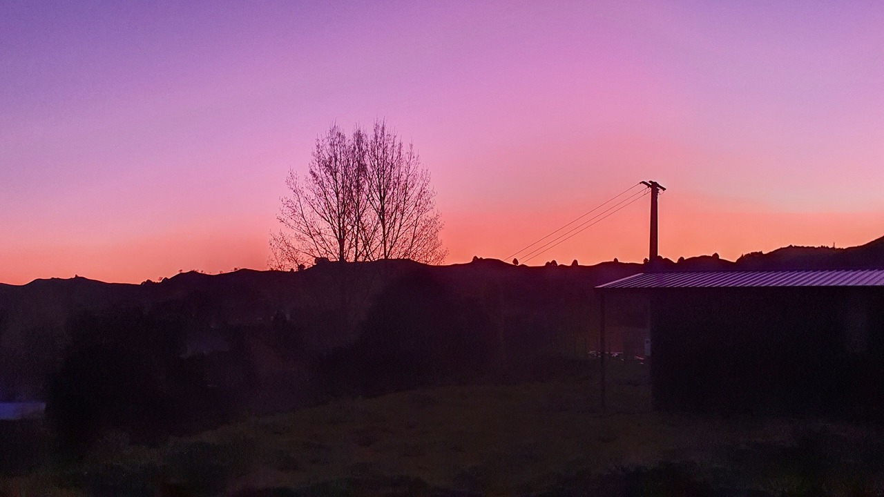 Photo of Others in Taumarunui