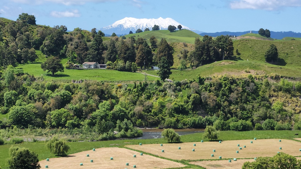Photo of Others in Taumarunui
