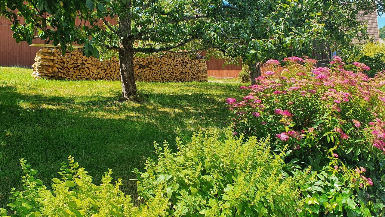 Photo of Outdoor in Burladingen