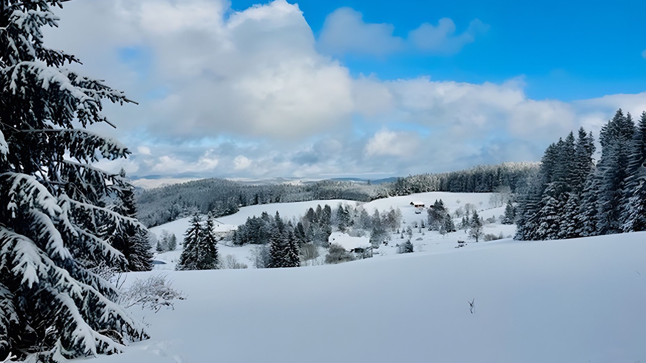 Photo of Others in Triberg im Schwarzwald