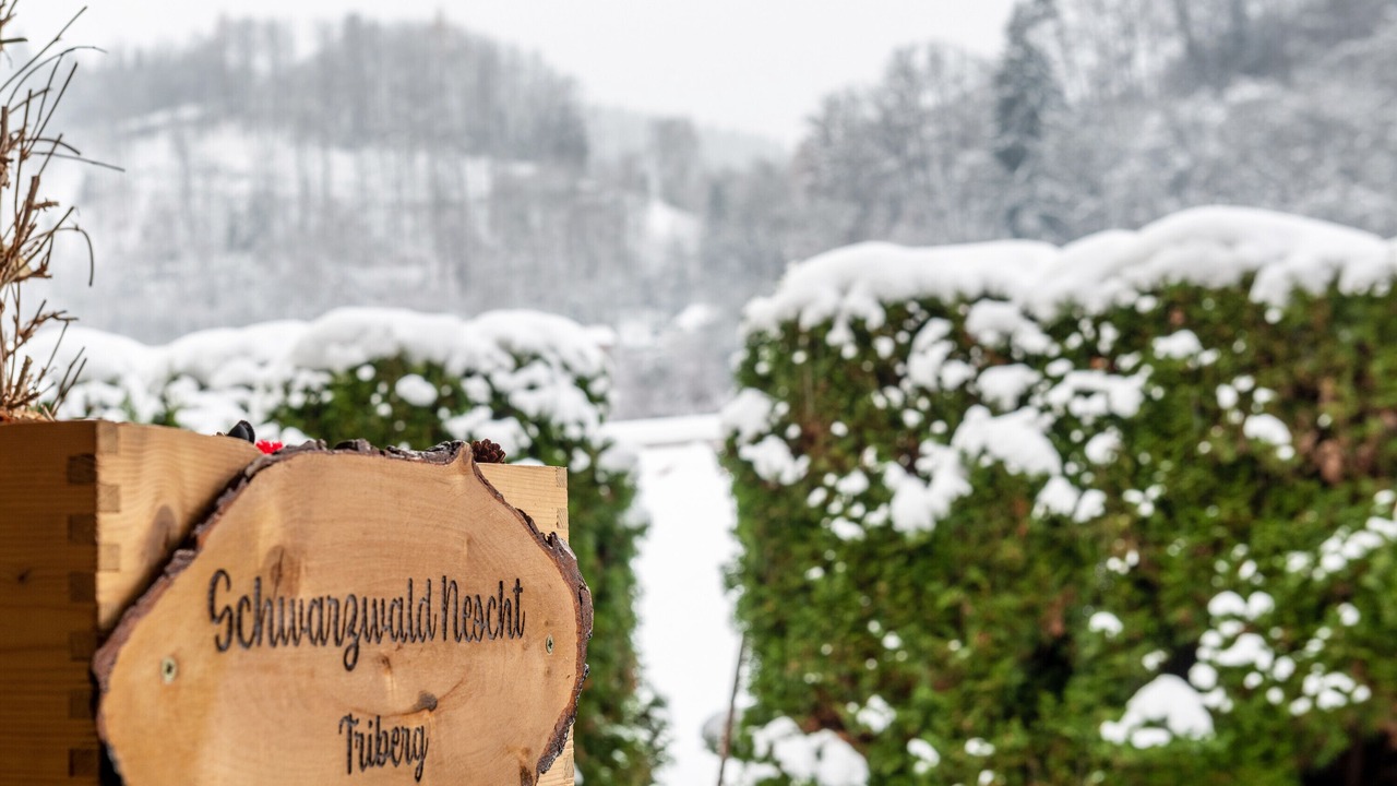 Photo of Others in Triberg im Schwarzwald