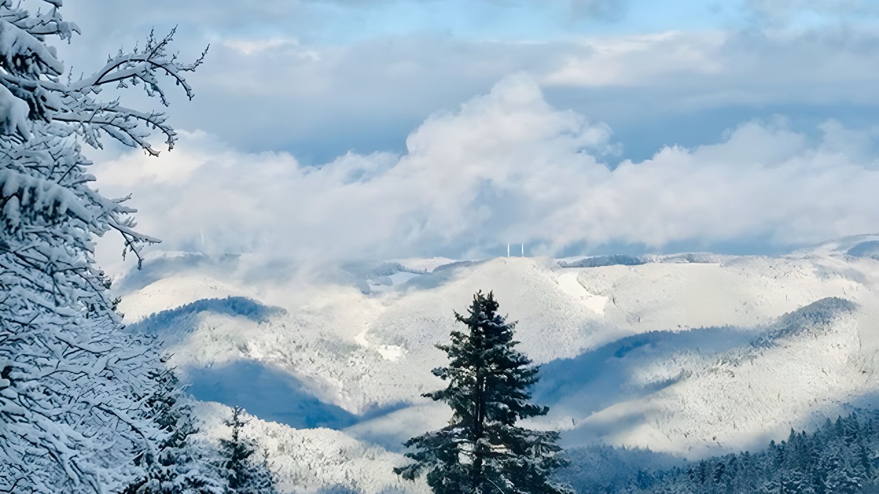 Photo of Others in Triberg im Schwarzwald