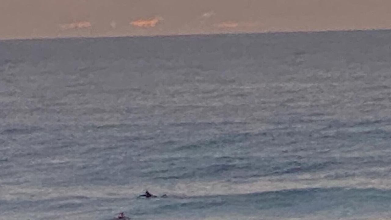 Photo of Others in Kiama Downs