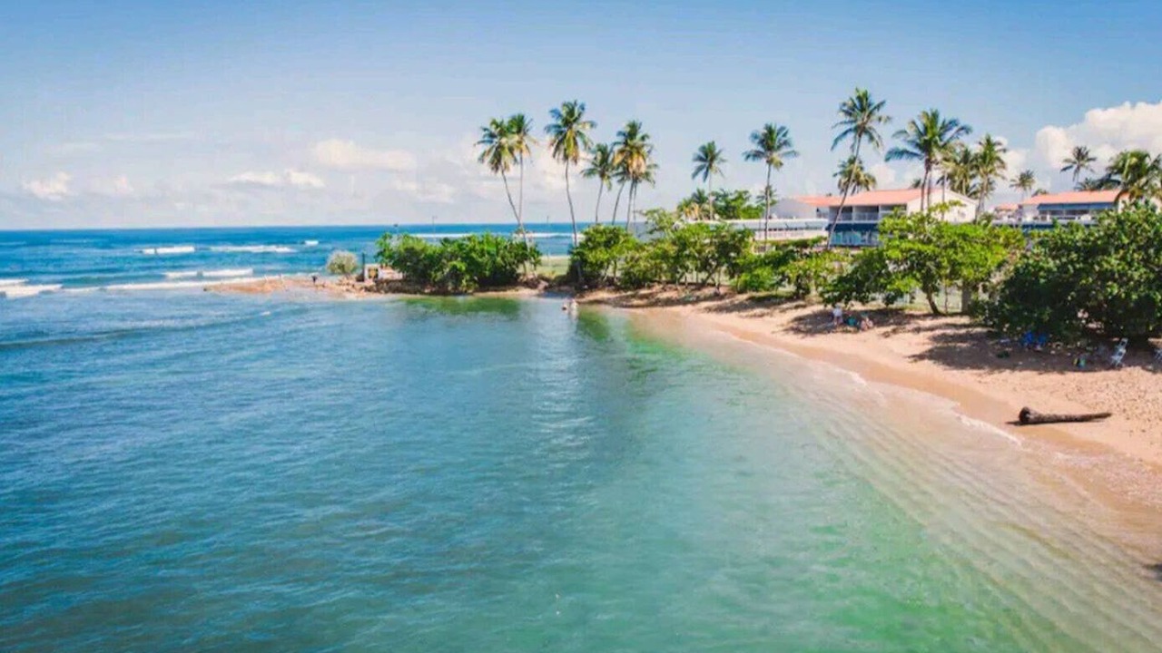 Photo of Others in Dorado del Mar