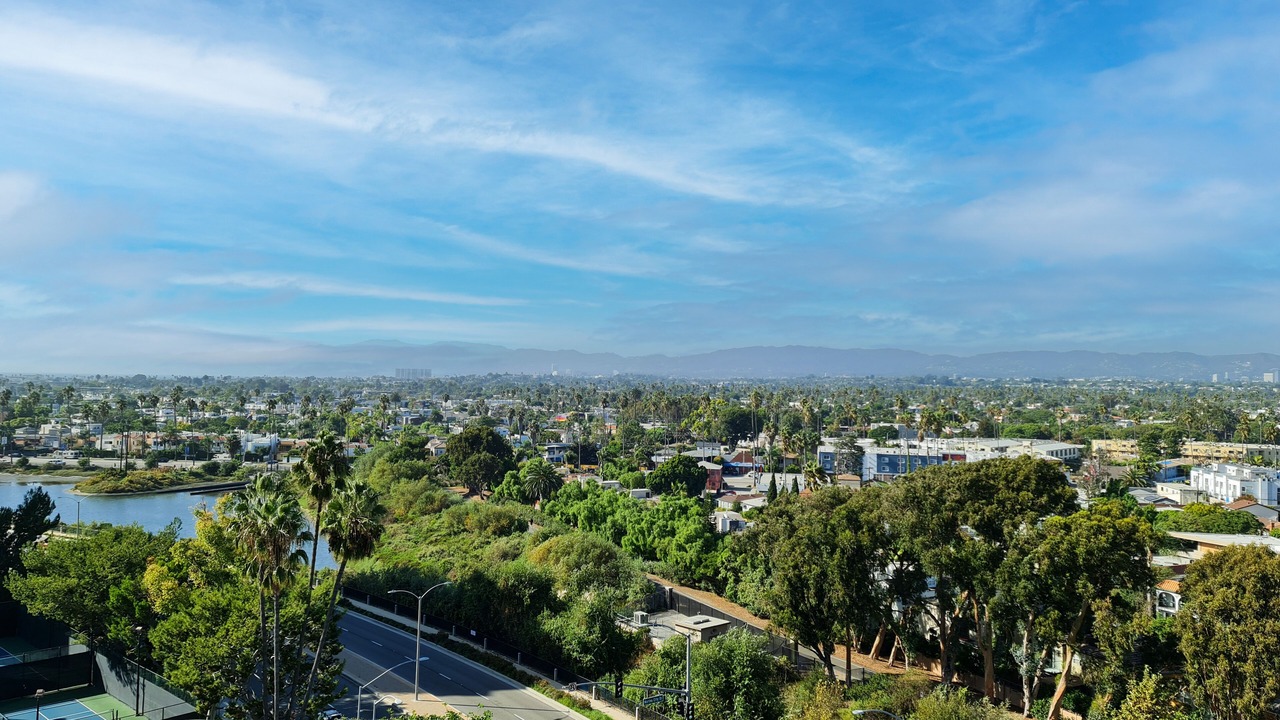 Photo of Others in Marina del Rey