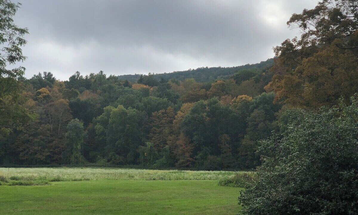 Photo of Others in Canaan
