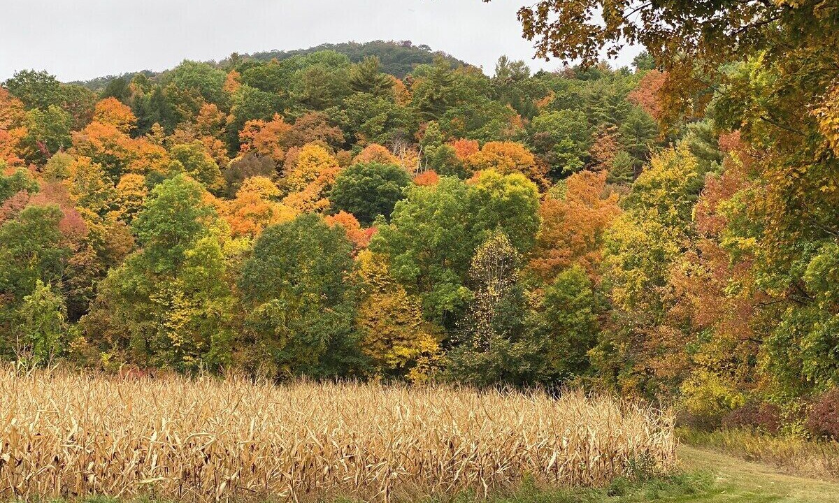 Photo of Others in Canaan