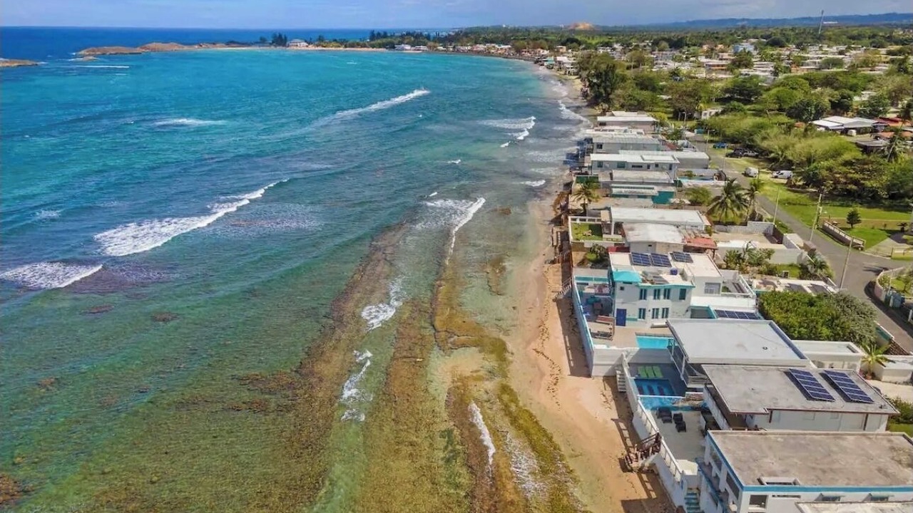 Photo of Others in Vega Baja