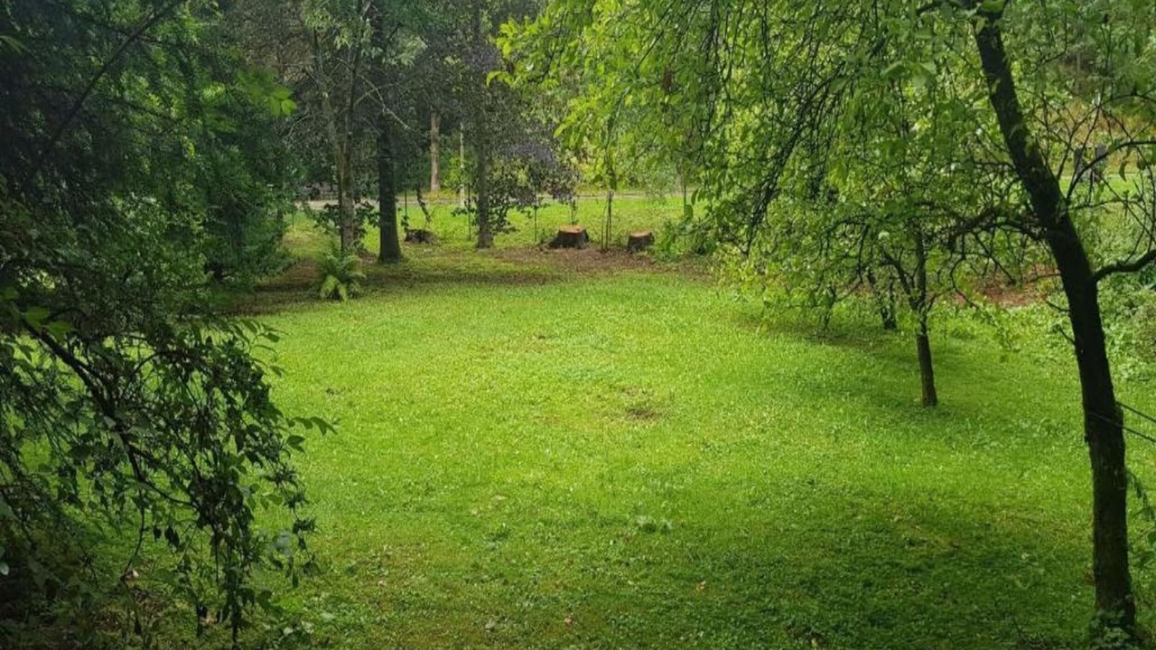 Photo of Others in Wildemann