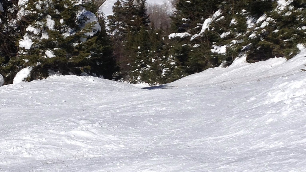 Photo of Others in Franconia