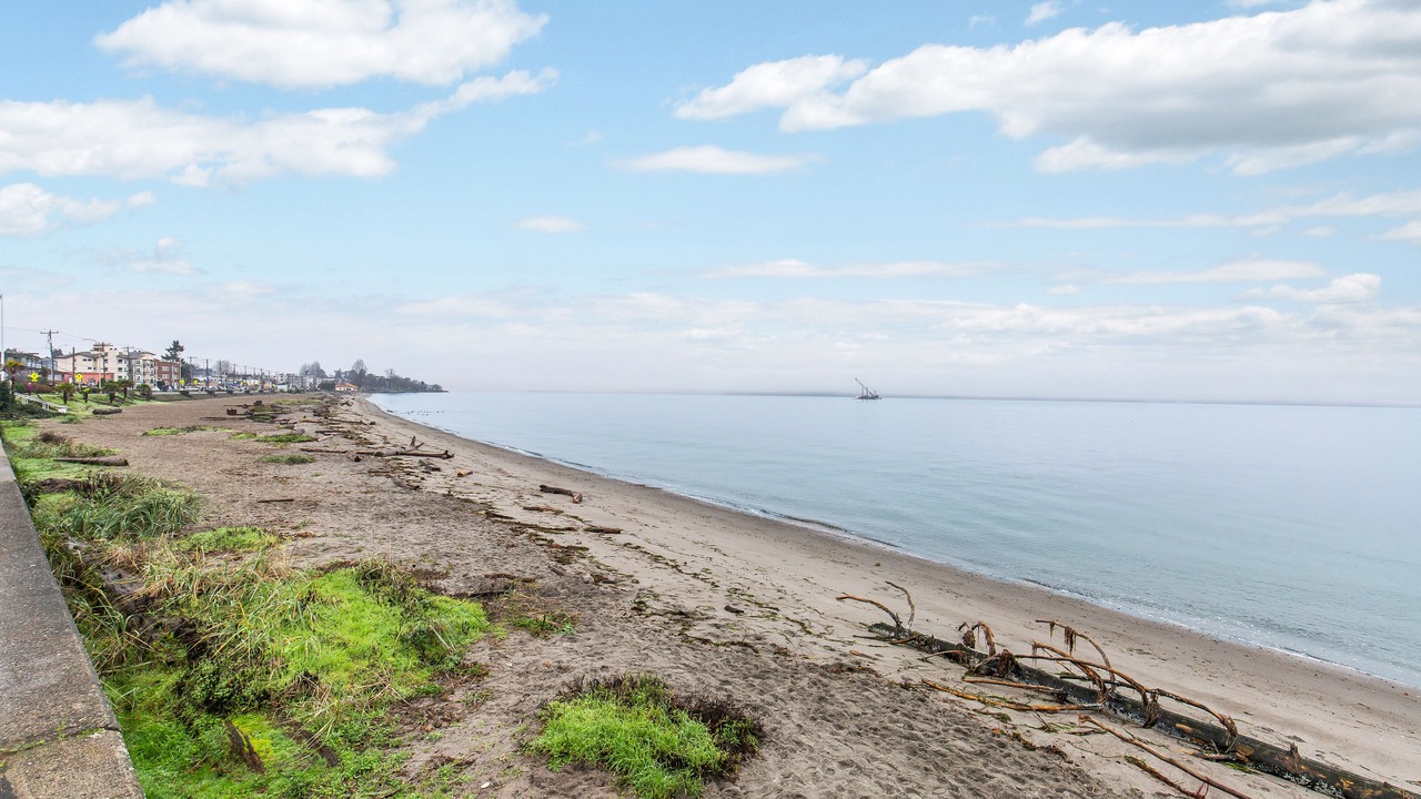 Photo of Others in West Seattle