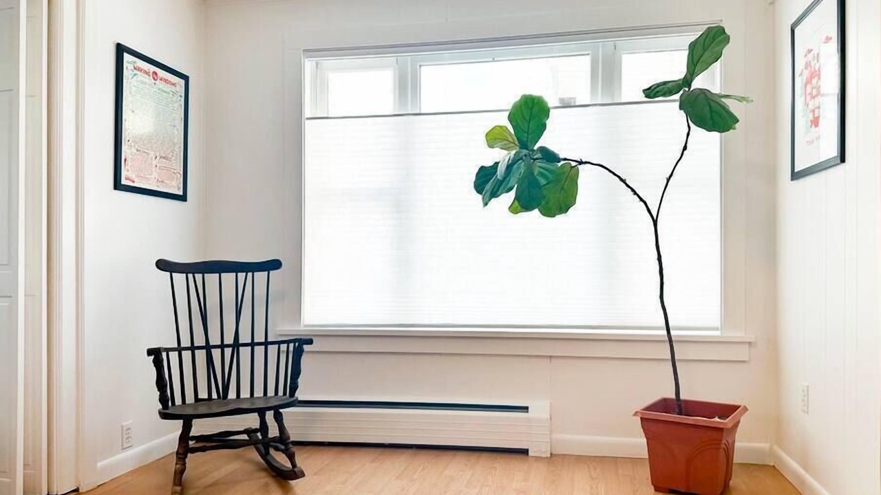 Photo of Bedroom in Winooski