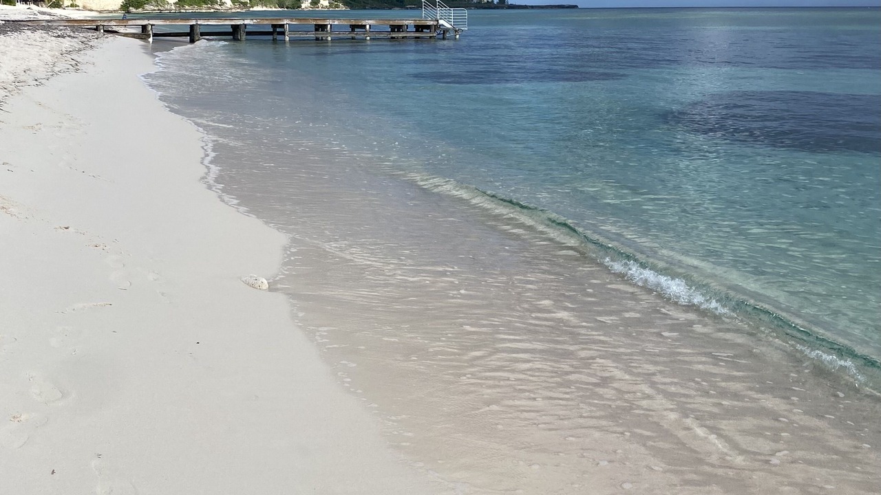 Photo of Others in Patricks Island