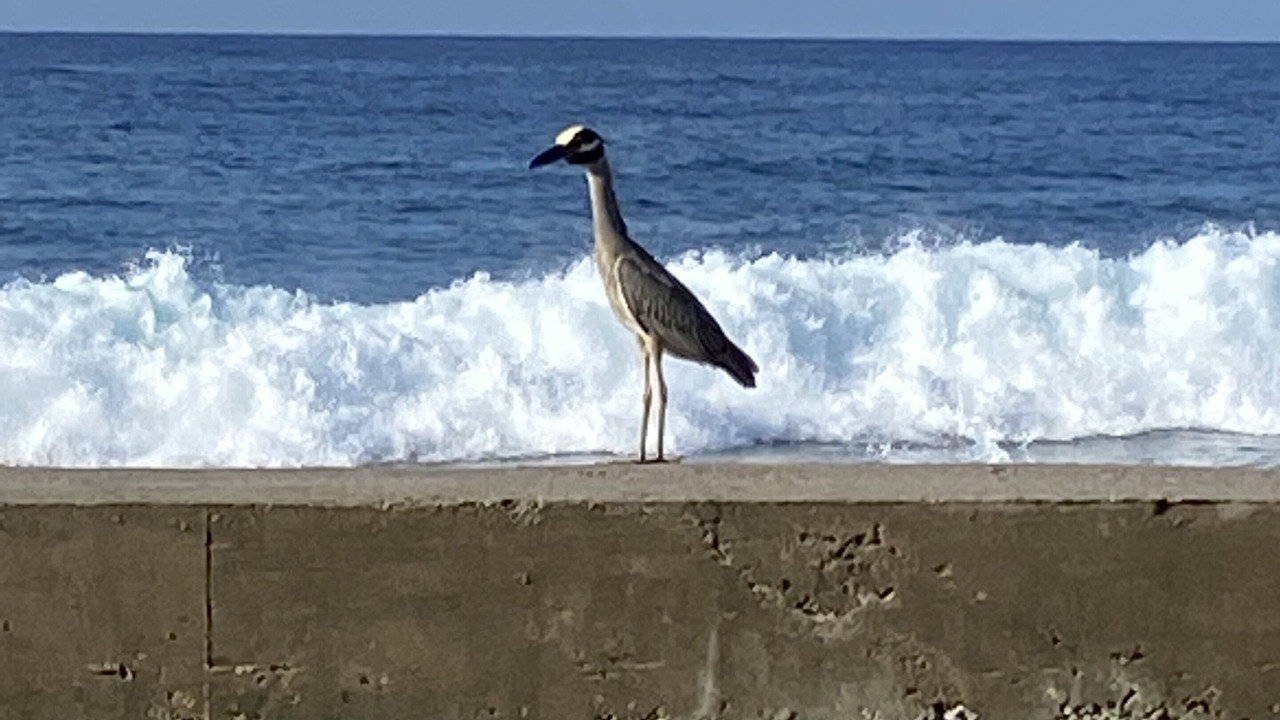 Photo of Outdoor in Patricks Island