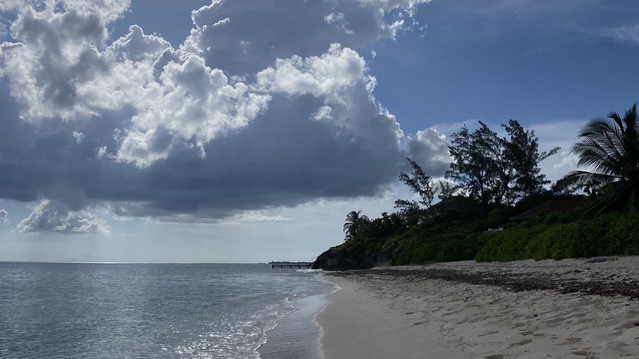 Photo of Others in Patricks Island