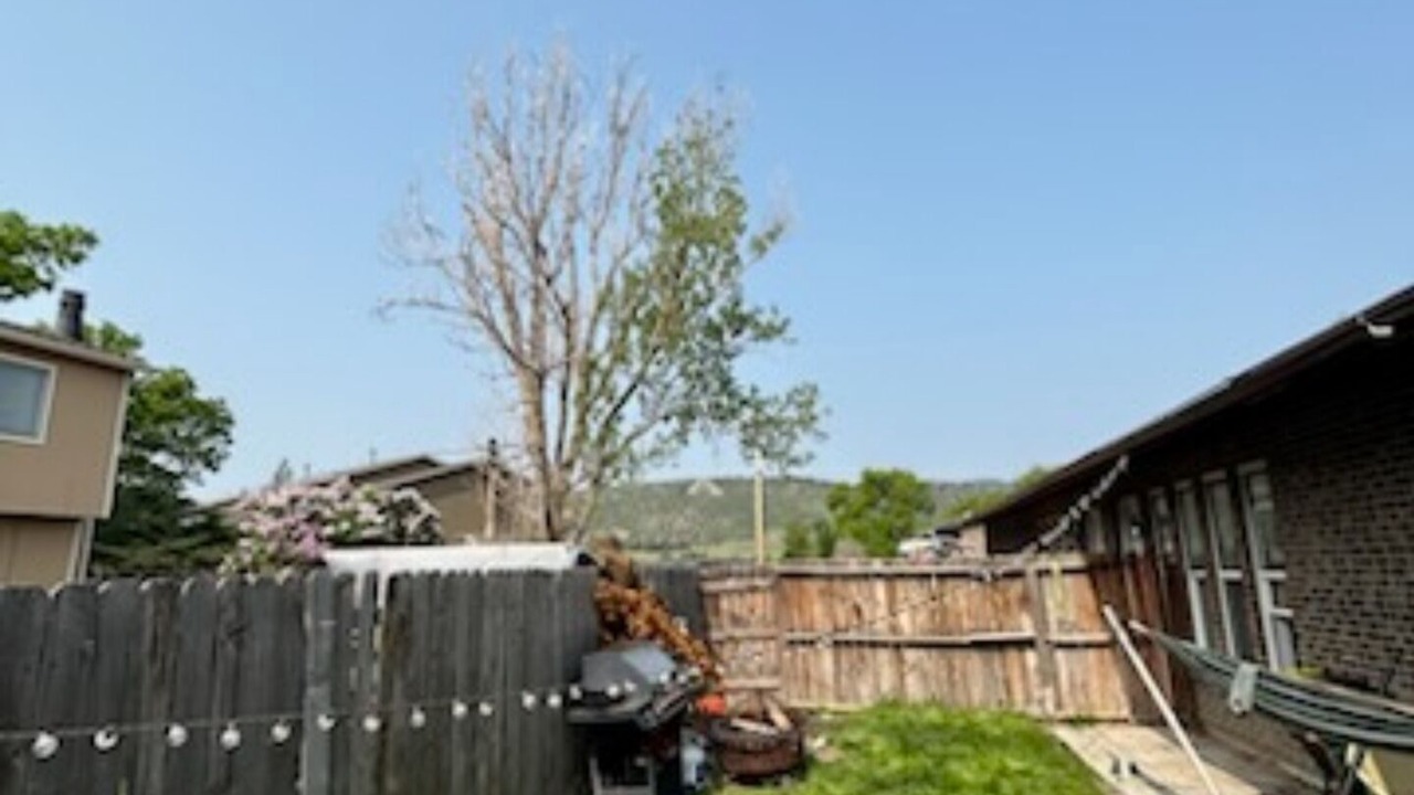 Photo of Patio Balcony in Fort Collins