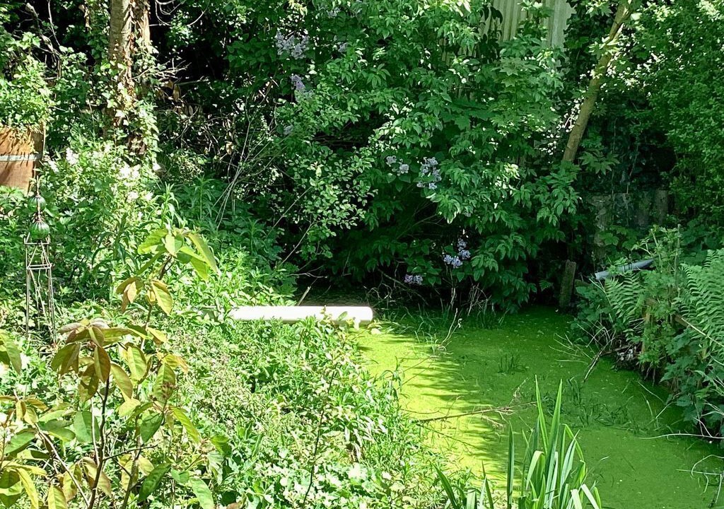 Photo of Outdoor in Upleward