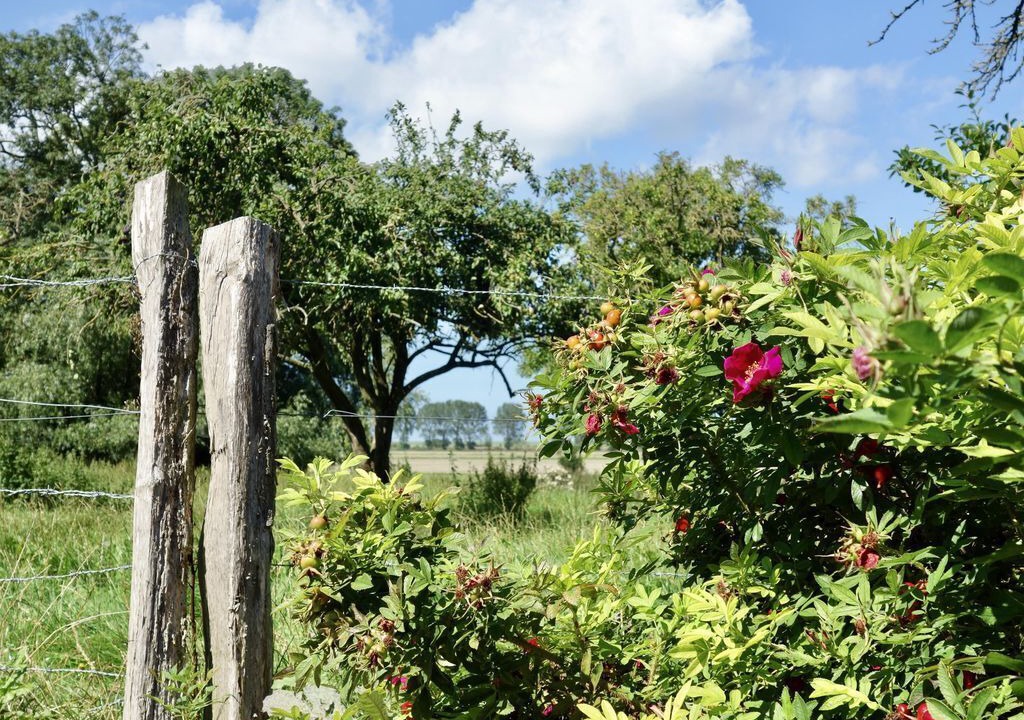 Photo of Outdoor in Upleward
