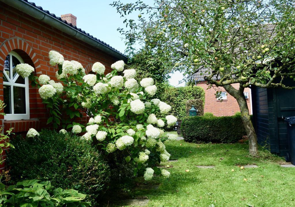 Photo of Outdoor in Upleward