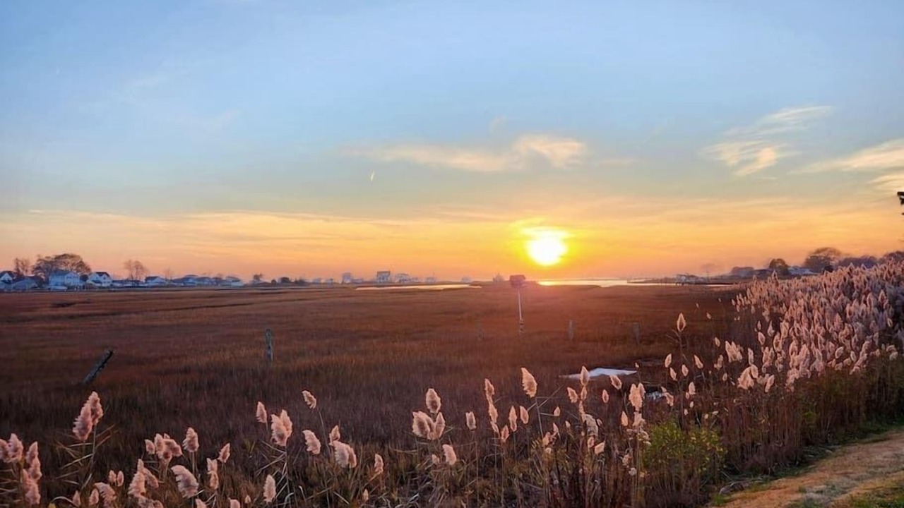 Photo of Others in Old Saybrook