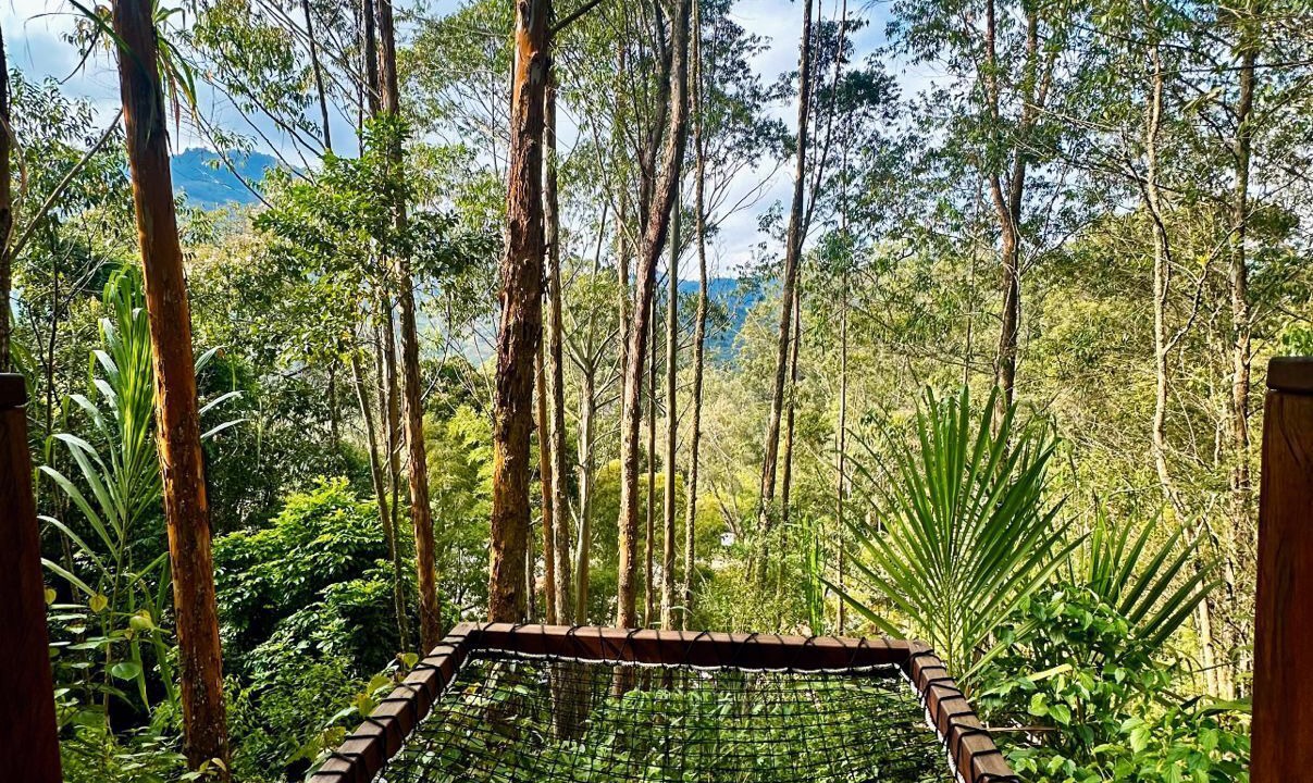Photo of Outdoor in Jardin
