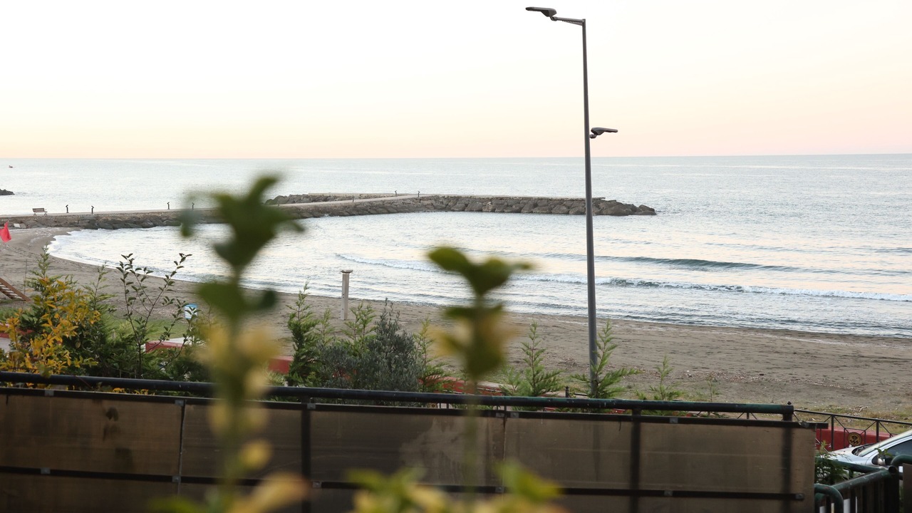 Photo of Others in Trabzon