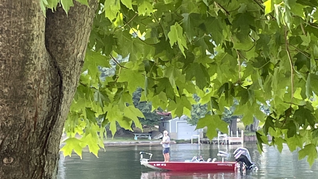 Photo of Others in Ludington