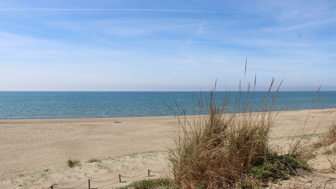 Photo of Others in Quartiere XXXIV Lido di Ostia Levante