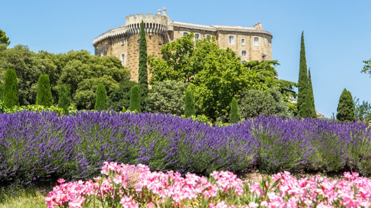 Photo of Others in Saint-Paul-Trois-Chateaux