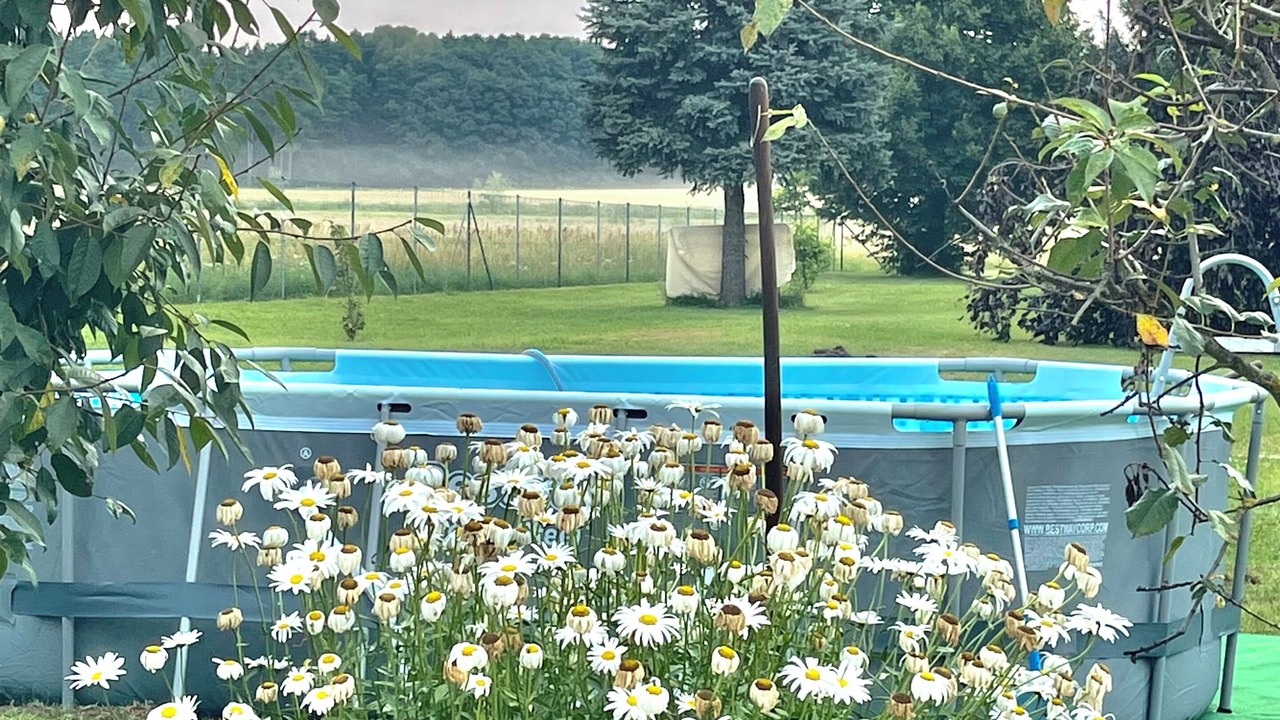 Photo of Outdoor in Friedland
