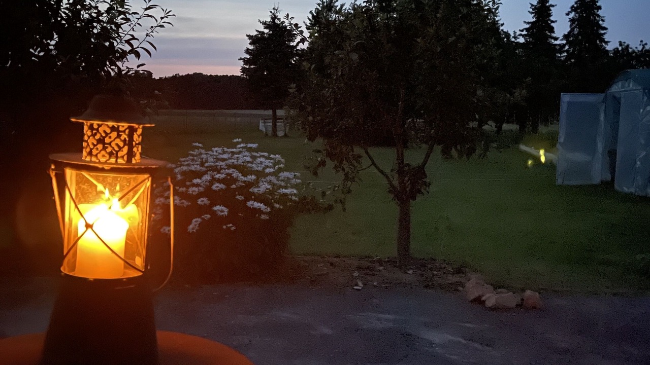 Photo of Outdoor in Friedland
