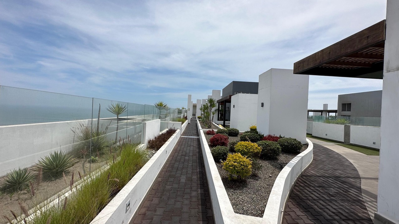 Photo of Outdoor in San Miguel