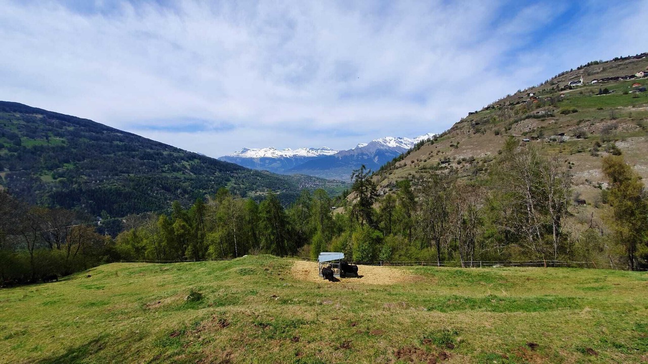 Photo of Outdoor in Saint-Martin
